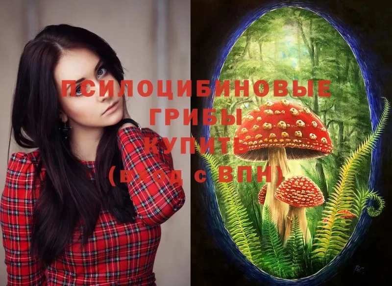 Галлюциногенные грибы Magic Shrooms  Боровичи 